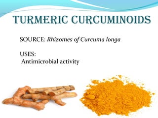 Turmeric Activity Nutraceutical | PPT