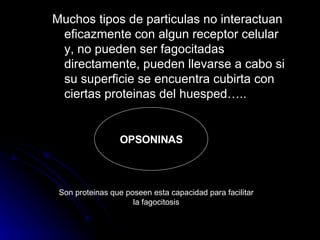 Muchos tipos de particulas no interactuan eficazmente con algun receptor celular y, no pueden ser fagocitadas directamente, pueden llevarse a cabo si su superficie se encuentra cubirta con ciertas proteinas del huesped….. OPSONINAS Son proteinas que poseen esta capacidad para facilitar la fagocitosis 