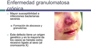 Enfermedad granulomatosa
crónica
 Mayor susceptibilidad a
infecciones bacterianas
severas
 Formación de abscesos y
granulomas
 Este defecto tiene un origen
genético y en la mayoría de
los casos se hereda como
recesivo ligado al sexo (al
cromosoma X)
 