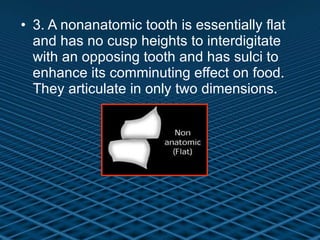 3. A nonanatomic tooth is essentially flat and has no cusp heights to interdigitate with an opposing tooth and has sulci to enhance its comminuting effect on food. They articulate in only two dimensions. 