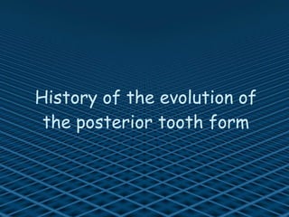 History of the evolution of the posterior tooth form 