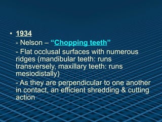 1934 - Nelson –  “ Chopping teeth ” - Flat occlusal surfaces with numerous ridges (mandibular teeth: runs transversely, maxillary teeth: runs mesiodistally) - As they are perpendicular to one another in contact, an efficient shredding & cutting action 