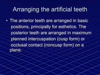 Arranging the artificial teeth The anterior teeth are arranged in basic positions, principally for esthetics. The posterior teeth are arranged in maximum planned intercuspation (cusp form) or occlusal contact (noncusp form) on a plane. 