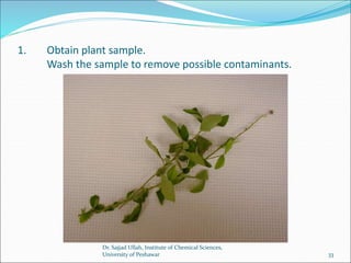 1. Obtain plant sample.
Wash the sample to remove possible contaminants.
Dr. Sajjad Ullah, Institute of Chemical Sciences,
University of Peshawar 33
 