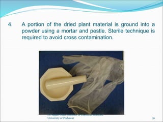 4. A portion of the dried plant material is ground into a
powder using a mortar and pestle. Sterile technique is
required to avoid cross contamination.
Dr. Sajjad Ullah, Institute of Chemical Sciences,
University of Peshawar 36
 