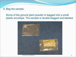 5. Bag the sample.
Some of the ground plant powder is bagged into a small
plastic envelope. The sample is double-bagged and labeled.
Dr. Sajjad Ullah, Institute of Chemical Sciences,
University of Peshawar 37
 