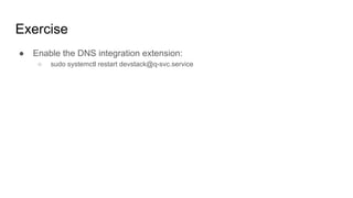 Exercise
● Enable the DNS integration extension:
○ sudo systemctl restart devstack@q-svc.service
 