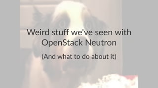Weird stuﬀ we've seen with
OpenStack Neutron
(And what to do about it)
 