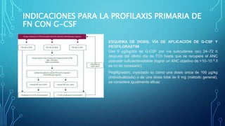 INDICACIONES PARA LA PROFILAXIS PRIMARIA DE
FN CON G-CSF
ESQUEMA DE DOSIS, VÍA DE APLICACIÓN DE G-CSF Y
PEGFILGRASTIM
Use 5 μg/kg/día de G-CSF por vía subcutánea (sc) 24–72 h
después del último día de TCh hasta que se recupere el ANC
posnadir suficiente/estable (lograr un ANC objetivo de >10–10 9 /l
es no es necesario).
Pegfilgrastim, inyectado sc como una dosis única de 100 μg/kg
(individualizada) o de una dosis total de 6 mg (método general),
se considera igualmente eficaz .
 