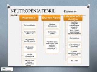NEUTROPENIAFEBRIL Evaluación
Inicial
Anamnesis
Comorbilidades
Tiempo desde la
última QT
Tto/Profilaxis
con AB reciente
Medicación
habitual
Uso de
dispositivos
Exposición a
tóxicos
(marihuana,
tabaco…)
Exámen Físico
Nivel de
Consciencia
Constantes
vitales
Posibles focos
infecciosos (piel,
pulmón,
catéteres,
orofaringe…)
Laboratorio/Ra
diología
Analítica
completa
(Hemograma,
recuento y
fórmula
leucocitaria)
electrolitos y
equilibrio ác/base
Hemocultivos
Cultivo Orina (si
procede)
Cultivos
específicos según
sospecha
Rx Tórax
 