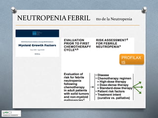 NEUTROPENIAFEBRIL tto de la Neutropenia
PROFILAX
IS
 