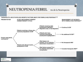 NEUTROPENIAFEBRIL tto de la Neutropenia
 
