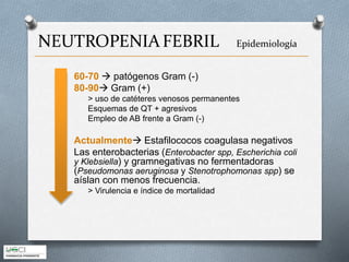 60-70  patógenos Gram (-)
80-90 Gram (+)
> uso de catéteres venosos permanentes
Esquemas de QT + agresivos
Empleo de AB frente a Gram (-)
Actualmente Estafilococos coagulasa negativos
Las enterobacterias (Enterobacter spp, Escherichia coli
y Klebsiella) y gramnegativas no fermentadoras
(Pseudomonas aeruginosa y Stenotrophomonas spp) se
aíslan con menos frecuencia.
> Virulencia e índice de mortalidad
NEUTROPENIAFEBRIL Epidemiología
 