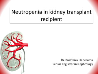 Neutropenia in kidney transplant
recipient
Dr. Buddhika Illeperuma
Senior Registrar in Nephrology
 