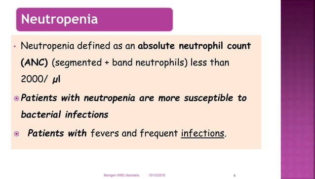 Neutropenia In Cats And Leukemia Reference: Neutropenia Lymphopenia Ppt Blood Disorders
