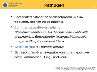 Pathogen
• Bacterialtranslocation and bacteremia is also
frequently seen in these patients.
• Common causative organism :
Clostridium septicum, Escherichia coli, Kleibsiella
pneumoniae, Enterobactertaylorae,Morganella
morganii, Streptococcus viridans.
• 13 cases report : Bacillus cereus
• But alsoother Gram negative rods, gram-positive
cocci, enterococci, fungi, and virus
Fabio G Rodrigues et al. World journal of gastroenterology 2017
Cases reportinfectious disease 2018 Mar ; Denham JD et al.
 