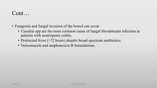 Cont…
• Fungemia and fungal invasion of the bowel can occur
• Candida spp are the most common cause of fungal bloodstream infection in
patients with neutropenic colitis.
• Protracted fever (>72 hours) despite broad-spectrum antibiotics.
• Voriconazole and amphotericin B formulations.
1-Apr-23 Febrile neutropenia 62
 