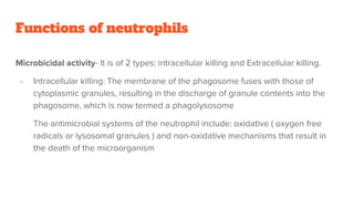 neutrophil.pptx