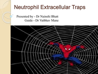 Neutrophil Extracellular Traps
Presented by - Dr Nainshi Bhatt
Guide - Dr Vaibhav Mane
 