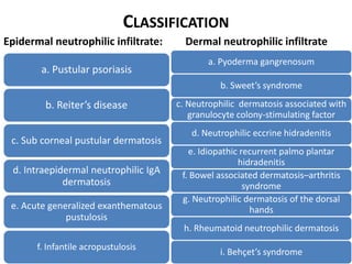 CLASSIFICATION
Epidermal neutrophilic infiltrate:
a. Pustular psoriasis
b. Reiter’s disease
c. Sub corneal pustular dermatosis
d. Intraepidermal neutrophilic IgA
dermatosis
e. Acute generalized exanthematous
pustulosis
f. Infantile acropustulosis
Dermal neutrophilic infiltrate
a. Pyoderma gangrenosum
b. Sweet’s syndrome
c. Neutrophilic dermatosis associated with
granulocyte colony-stimulating factor
d. Neutrophilic eccrine hidradenitis
e. Idiopathic recurrent palmo plantar
hidradenitis
f. Bowel associated dermatosis–arthritis
syndrome
g. Neutrophilic dermatosis of the dorsal
hands
h. Rheumatoid neutrophilic dermatosis
i. Behçet’s syndrome
 