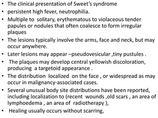 • The clinical presentation of Sweet’s syndrome
• persistent high fever, neutrophilia.
• Multiple to solitary, erythematous to violaceous tender
papules or nodules that often coalesce to form irregular
plaques
• The lesions typically involve the arms, face and neck, but may
occur anywhere.
• Later lesions may appear –pseudovesicular ,tiny pustules .
• The plaques may develop central yellowish discoloration,
producing a targetoid appearance .
• The distribution localized on the face , or widespread as may
occur in malignancy-associated cases.
• Several unusual body site distributions have been reported,
including localization to (recent wounds ,old scars , an area of
lymphoedema , an area of radiotherapy ),
• Healing usually occurs without scarring,
 