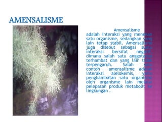 persentase desi-Neutualisme | PPT