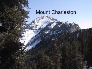   Mount Charleston 