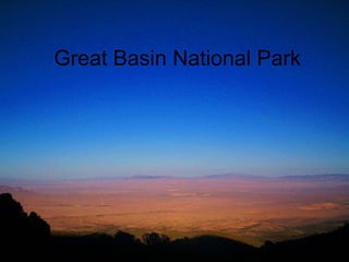 Great Basin National Park   