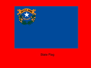 State Flag 
