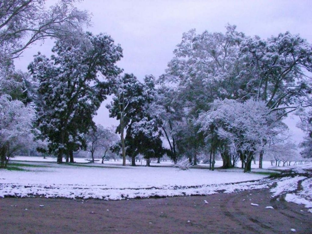 Nevada Del 9 De Julio De 2007