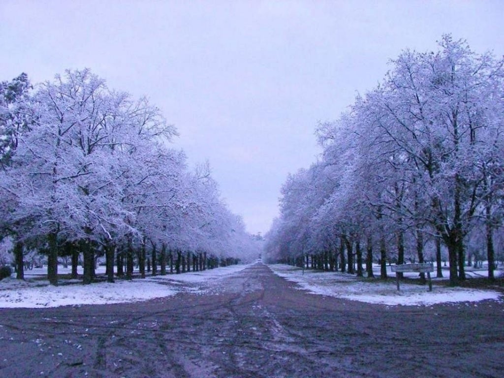 Nevada Del 9 De Julio De 2007