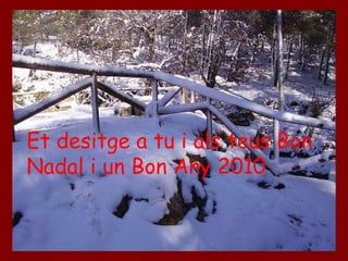 Et desitge a tu i als teus Bon Nadal i un Bon Any 2010 