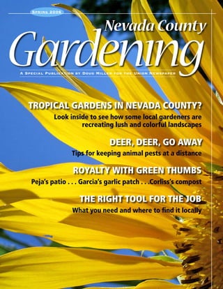 Spring 2006


                                Nevada County

Gardenıng
A Special Publication by Doug Miller for the Union Newspaper




   Tropical Gardens in Nevada County?
             Look inside to see how some local gardeners are
                      recreating lush and colorful landscapes

                                  Deer, deer, go away
                    Tips for keeping animal pests at a distance

                    Royalty with green thumbs
    Peja’s patio . . . Garcia’s garlic patch . . .Corliss’s compost

                      The right tool for the job
                    What you need and where to find it locally
 