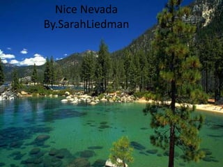 Nice NevadaBy.SarahLiedman 
