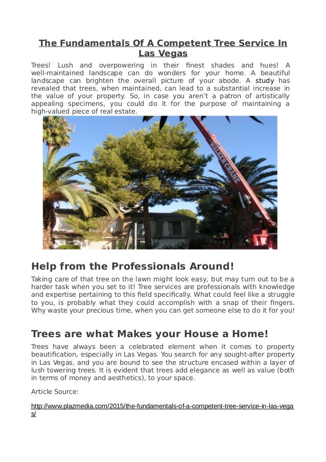 Nevada Tree Service in Las Vegas