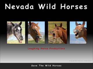 Nevada Wild Horses
S a v e T h e W i l d H o r s e s
© Copyright 2010, Thomas Bruno. All rights reserved.
L a u g h i n g H o r s e P r o d u c t i o n s
 