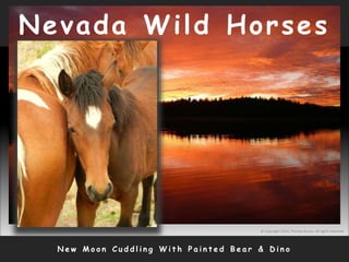 N e w M o o n C u d d l i n g W i t h P a i n t e d B e a r & D i n o
© Copyright 2010, Thomas Bruno. All rights reserved.
Nevada Wild Horses
 