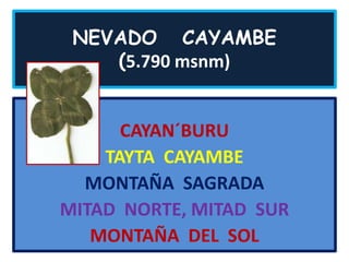 NEVADO   CAYAMBE(5.790 msnm) CAYAN´BURU TAYTA  CAYAMBE MONTAÑA  SAGRADA MITAD  NORTE, MITAD  SUR MONTAÑA  DEL  SOL 