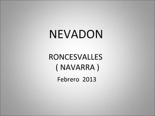 NEVADON
RONCESVALLES
 ( NAVARRA )
 Febrero 2013
 
