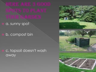 Here are 3 good
    spots to plant
    your garden
   a. sunny spot

   b. compost bin



   c. topsoil doesn't wash
    away
 