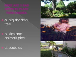 Here are 3 bad
  spots to plant
   your garden.

 a. big shadow
  tree

 b.kids and
  animals play

 c.   puddles
 