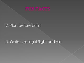 2. Plan before build



3. Water , sunlight/light and soil
 