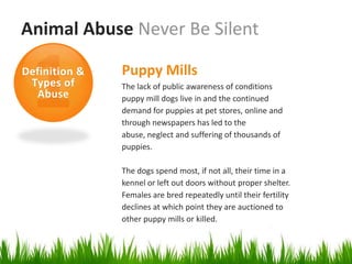 Animal Abuse Never Be Silent

Definition &   Puppy Mills
 Types of      The lack of public awareness of conditions
  Abuse        puppy mill dogs live in and the continued
               demand for puppies at pet stores, online and
               through newspapers has led to the
               abuse, neglect and suffering of thousands of
               puppies.

               The dogs spend most, if not all, their time in a
               kennel or left out doors without proper shelter.
               Females are bred repeatedly until their fertility
               declines at which point they are auctioned to
               other puppy mills or killed.
 