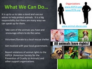 Organizations
    What We Can Do…                                 www.ASPCA.gov
                                                    www.PETA.org
It is up to us to take a stand and use our
voices to help protect animals. It is a big
responsibility but there are many ways we
can speak up for them.
                                                  www.animal-abuse.com
-   Take care of the animals you have and
     encourage others to do the same.

-   Volunteer/Donate to a local rescue shelter.

-   Get involved with your local government.

-   Report violations of animal rights to the
    ASPCA (American Society for the
    Prevention of Cruelty to Animals) and
    other support organizations.
 