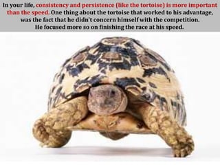 In your life, consistency and persistence (like the tortoise) is more important
  than the speed. One thing about the tortoise that worked to his advantage,
      was the fact that he didn't concern himself with the competition.
             He focused more so on finishing the race at his speed.
 