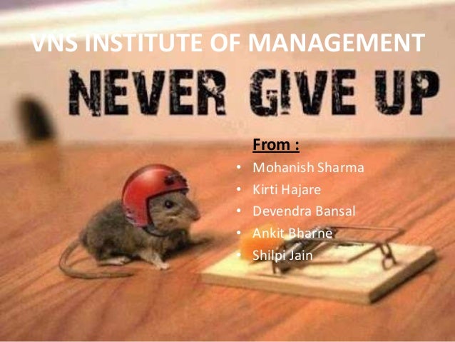 never give up