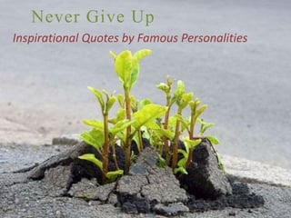 Never Give Up
Inspirational Quotes by Famous Personalities
 