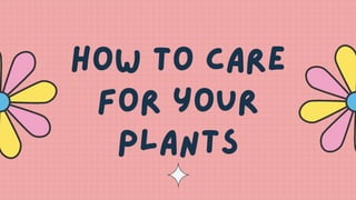 How to care
for your
plants
 