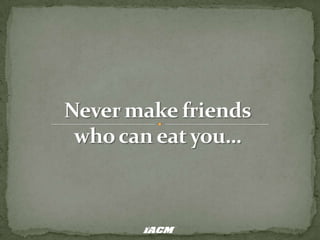 Never make friends who can eat you… 