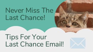 Never Miss The
Last Chance!
Tips For Your
Last Chance Email!
 